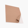 Flip Chart Blank